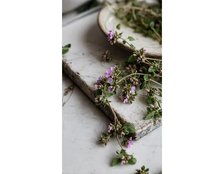 origanum