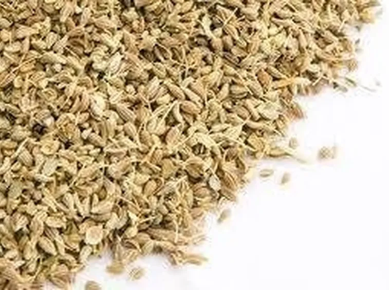 semi pimpinella
