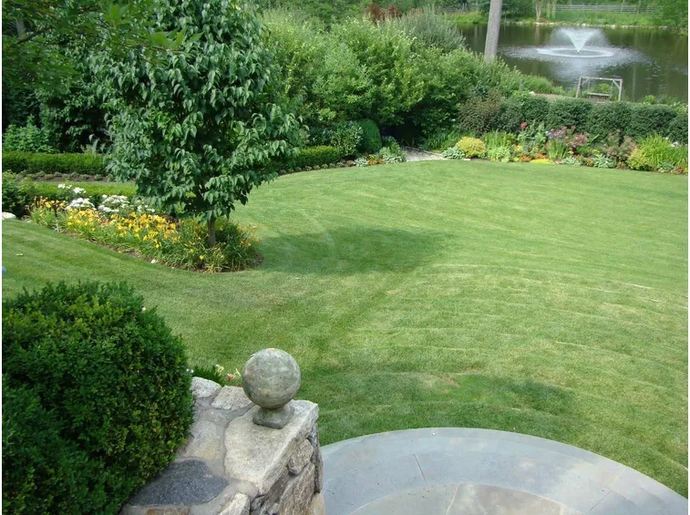 Erba per giardino
