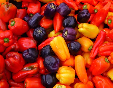 Varietà di peperoncino