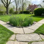 Cos'è un giardino della pioggia e dove conviene collocarlo