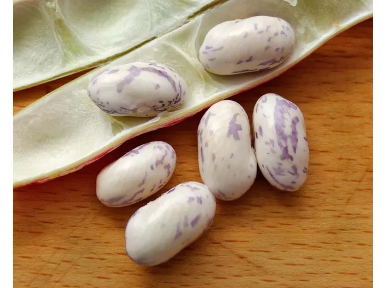 fagioli borlotti