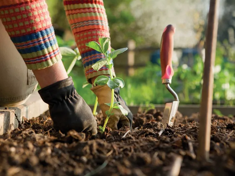 video giardino